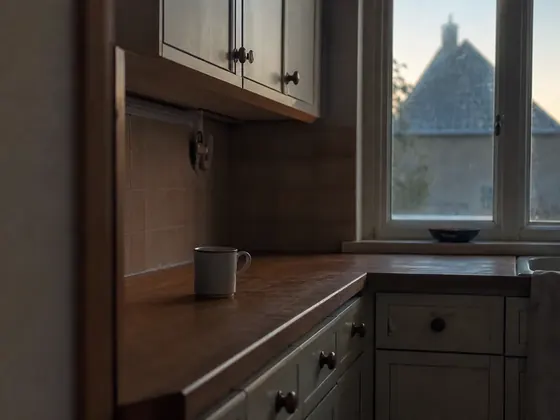 quiet kitchen at dawn, single cup