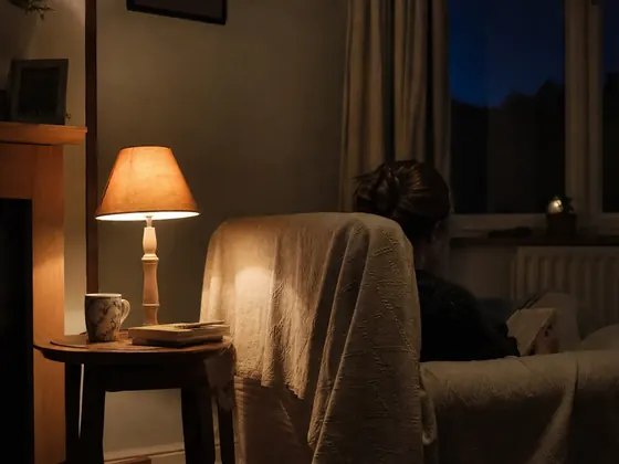 single lamp, armchair, night window