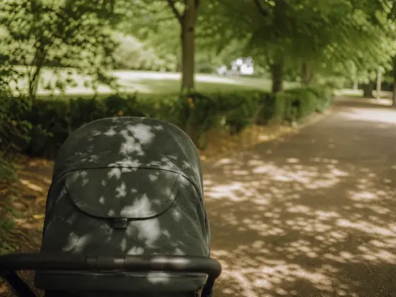 pram hood, park path, dappled light