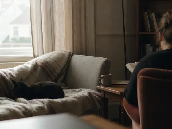 sofa, throw, curtains half drawn